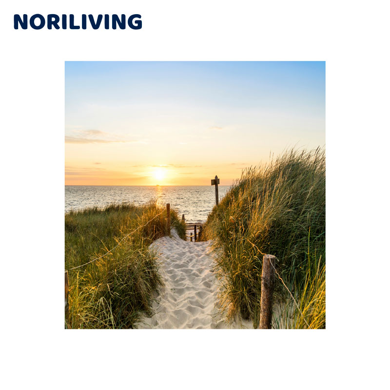 Bild eines idyllischen Strandwegs durch Dünen im Sonnenuntergang mit Meerblick