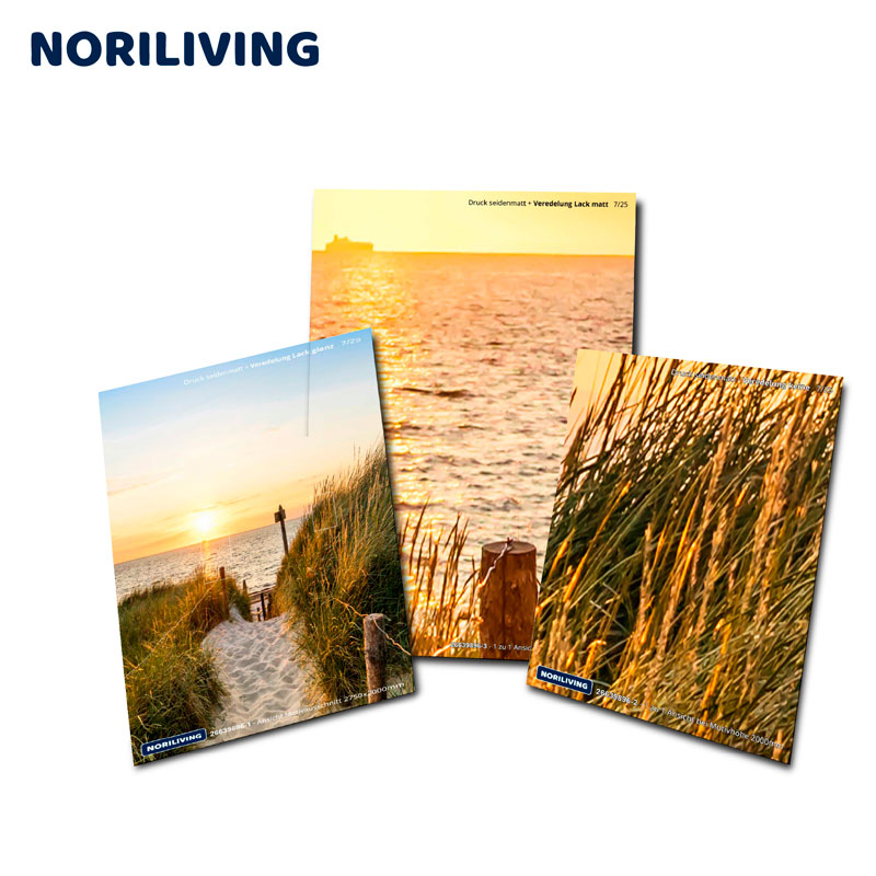 Set aus drei Noriliving Wandbildern mit Strandmotiv, Sonnenuntergang und Gras im Wind