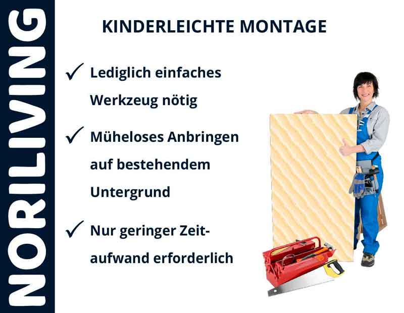 Werbung für Noriliving mit Frau, die ein Montageelement hält. Text: Kinderleichte Montage, lediglich einfaches Werkzeug nötig, müheloses Anbringen auf bestehendem Untergrund, nur geringer Zeitaufwand erforderlich.